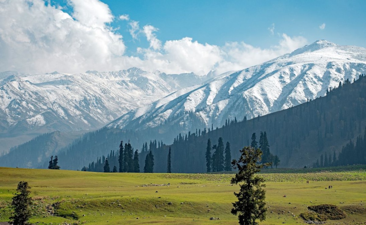 Latest and Breaking News on NDTV Latest and Breaking News on NDTV