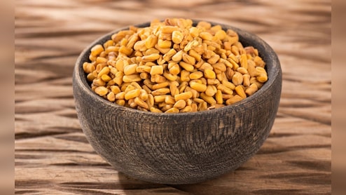 Methi Dana Benefits: 14 दिवस मेथी दाणे खाल्ल्यास शरीरात काय होईल? कोणते आजार दूर होतील, वेटलॉस कसा होईल?