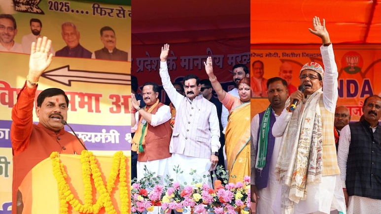 बिहार में टी-20 जैसा चुनावी मुकाबला, MP बीजेपी की टीम ने जमकर बरसाए रन... 25 में से 21 सीटों पर क्लीन हिट