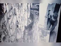 एमपी का गुटखा चोर! दुकान में घुसकर पहले समेटी नगदी, फिर गुटखा-सिगरेट के पैकेट ले भागा बदमाश; Viral Video