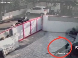 Civil Lines Leopard News: पहले बर्तन फेंके, फिर बाल्टी, तब जाकर बाहर आया तेंदुआ; ट्रेंकुलाइज करने में क्यों लगा 1 घंटा?