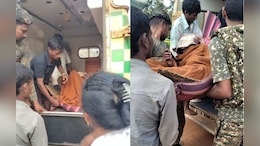 नक्सल प्रभावित इलाके में भालू का हमला! ग्रामीणों ने सूझबूझ से बचाई जान, लाठी-डंडे के डर से भागा भालू