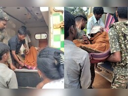 नक्सल प्रभावित इलाके में भालू का हमला! ग्रामीणों ने सूझबूझ से बचाई जान, लाठी-डंडे के डर से भागा भालू