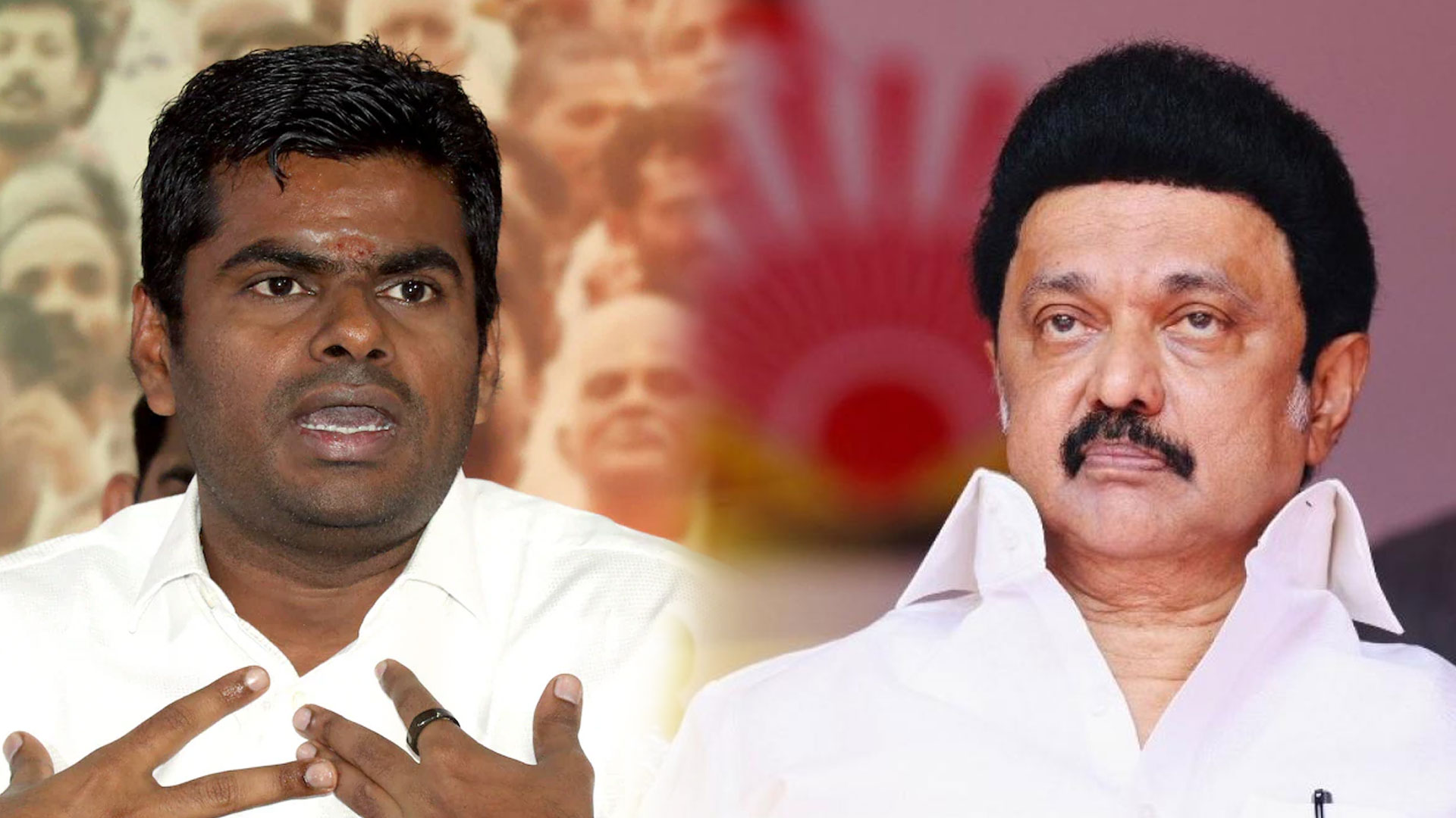 BJP's Annamalai Slams MK Stalin Over 'Metro Project' Outreach To PM