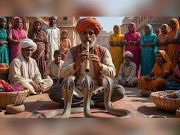 बीन बजाने से क्या वाकई नाचने लगते हैं सांप? जानें क्या है इस बात का सच