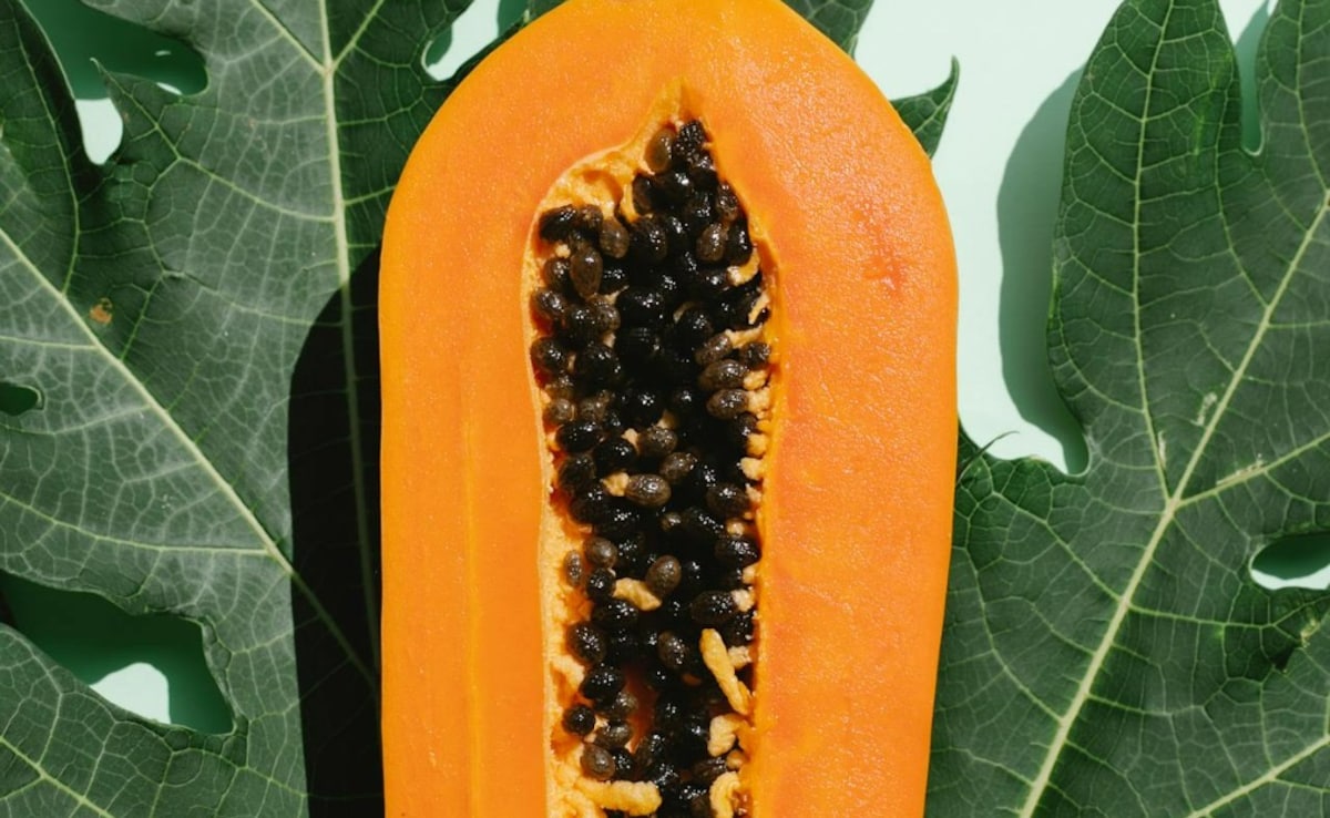 Latest and Breaking News on NDTV