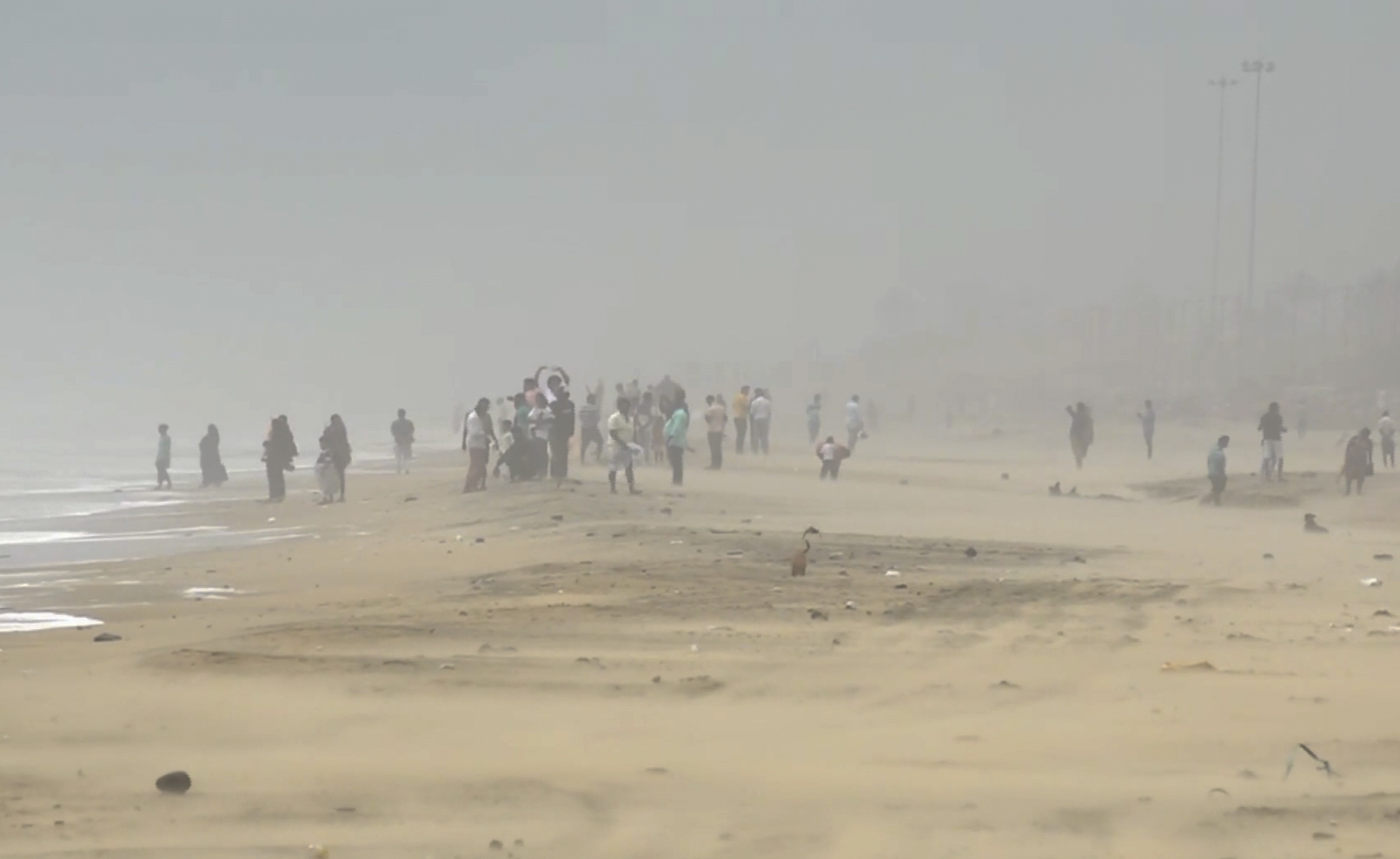 Cyclone Ditwah LIVE Updates: Cyclone Ditwah May Come Within 30 Km Of Tamil Nadu-Puducherry Coast By Evening