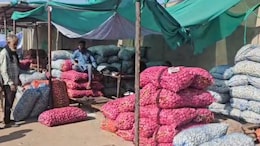 Rajasthan: प्याज ₹5, मटर ₹200 किलो, राजस्थान में व्यापारी-किसान को रुला रहे सब्जियों के बिगड़े दाम