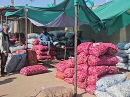 Rajasthan: प्याज ₹5, मटर ₹200 किलो, राजस्थान में व्यापारी-किसान को रुला रहे सब्जियों के बिगड़े दाम