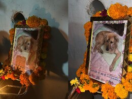 Dog Terahvi MP: पालतू कुत्ते की मौत पर मालिक ने की तेरहवीं, इंसानों जैसी रस्में देख भावुक हुए लोग