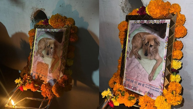 Dog Terahvi MP: पालतू कुत्ते की मौत पर मालिक ने की तेरहवीं, इंसानों जैसी रस्में देख भावुक हुए लोग
