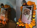 Dog Terahvi MP: पालतू कुत्ते की मौत पर मालिक ने की तेरहवीं, इंसानों जैसी रस्में देख भावुक हुए लोग