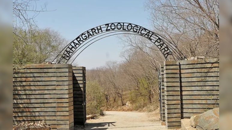 नाहरगढ़ अभ्यारण्य की जमीन पर अवैध फैक्ट्रियां, एनजीटी ने मांगा जवाब; जांच रिपोर्ट में खुली पोल