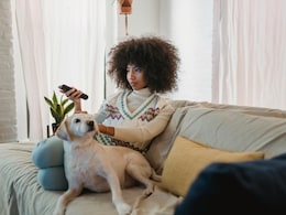 London Hotel Launches A Special TV Channel To Help Dogs Stay Calm During Fireworks