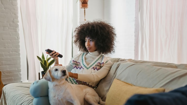 London Hotel Launches A Special TV Channel To Help Dogs Stay Calm During Fireworks