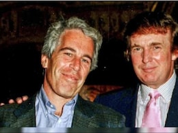 'Democrats Doing Everything To Push Epstein Hoax Again': Donald Trump