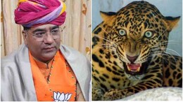 Leopard Enters Rajasthan Minister's House In Jaipur, Search Op Underway