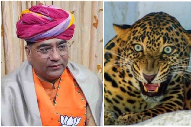 Breaking News: Rajasthan: जयपुर सिविल लाइंस में हाई अलर्ट! जल संसाधन मंत्री सुरेश सिंह रावत के सरकारी आवास में घुसा तेंदुआ, रेस्क्यू जारी