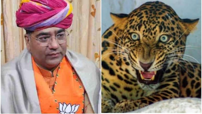 Leopard Enters Rajasthan Minister's House In Jaipur, Search Op Underway