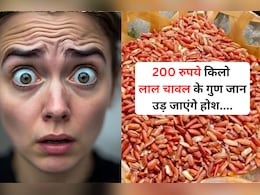 ठंड शुरू होते ही उत्तराखंड का 'लाल चावल' क्यों बिकता है 200 रुपये किलो? इसकी खासियत जान उड़ जाएंगे आपके होश