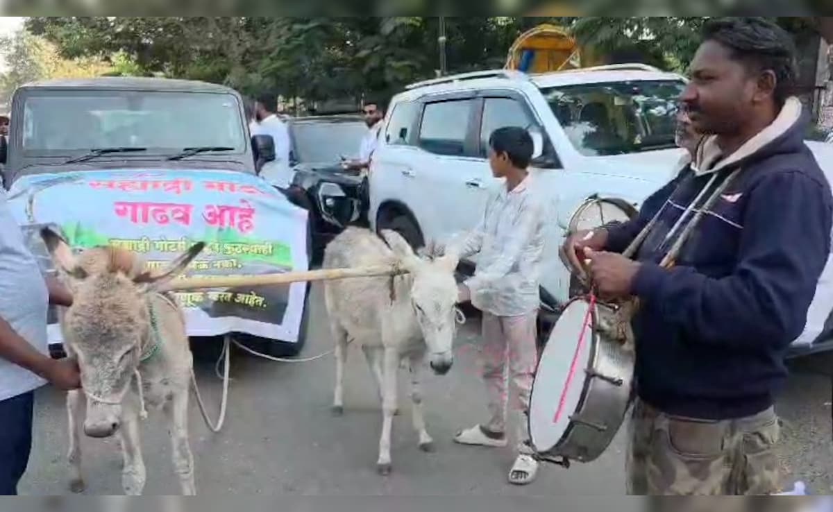 Latest and Breaking News on NDTV Latest and Breaking News on NDTV