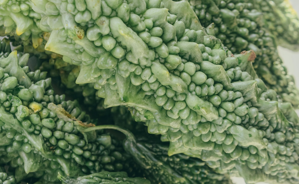 Karela khane ke fayde aur nuksan,Karele ki taasir thandi ya garam Bitter gourd benefits for health, Should I eat Karela daily, Karela for blood sugar control, Karela kab nahi khana chahiye, Latest and Breaking News on NDTV