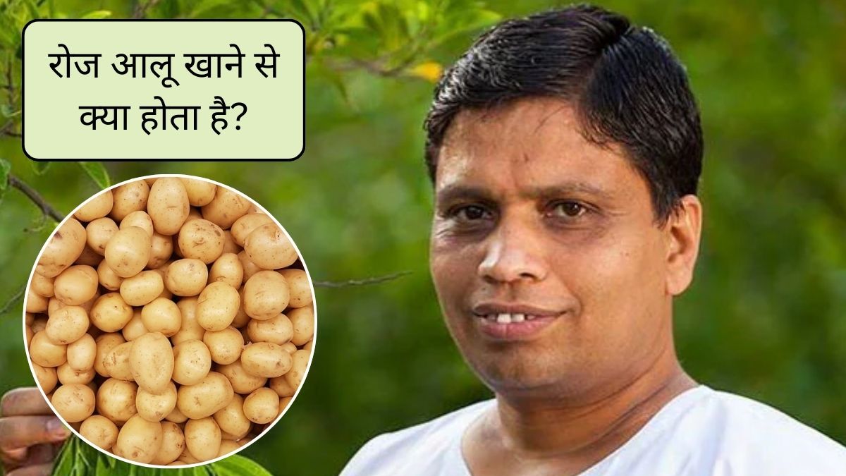 ज्यादा आलू खाने से शरीर पर क्या असर होता है? 1 दिन में कितना आलू खाना चाहिए, आचार्य बालकृष्ण से जानिए आलू खाने के फायदे और नुकसान