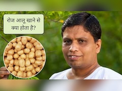 ज्यादा आलू खाने से शरीर पर क्या असर होता है? 1 दिन में कितना आलू खाना चाहिए, आचार्य बालकृष्ण से जानिए आलू खाने के फायदे और नुकसान