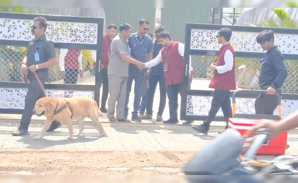 Latest and Breaking News on NDTV Latest and Breaking News on NDTV