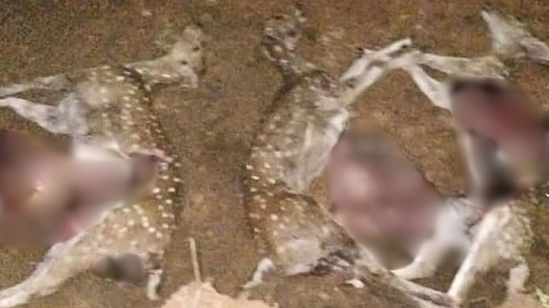 Official Suspended For Sharing Video Of Dead Deer At Newly-Opened Kerala Zoo