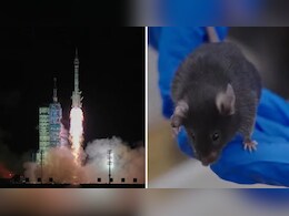 चीन: अंतरिक्ष में भेजे 4 चूहे धरती पर वापस लौटे, जानें क्या है ये मिशन