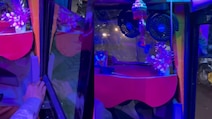 Watch: Maharashtra Auto Driver Turns Three-Wheeler Into Luxury Ride With AC, Power Windows