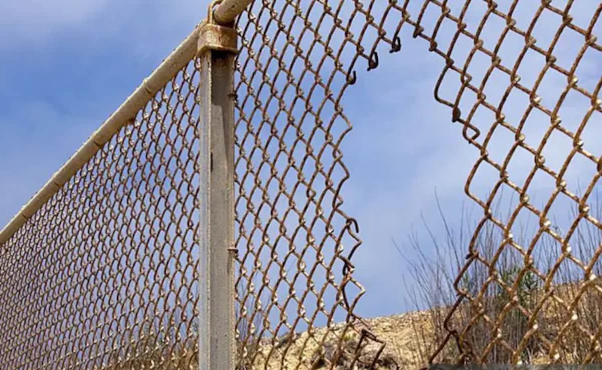 डंकी रूट से अमेरिका जा रहे हरियाणा के युवराज की हत्‍या, 50 लाख रुपये देने के बाद भी नहीं बख्शी जान 