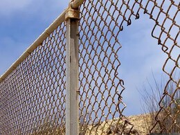 डंकी रूट से अमेरिका जा रहे हरियाणा के युवराज की हत्‍या, 50 लाख रुपये देने के बाद भी नहीं बख्शी जान 