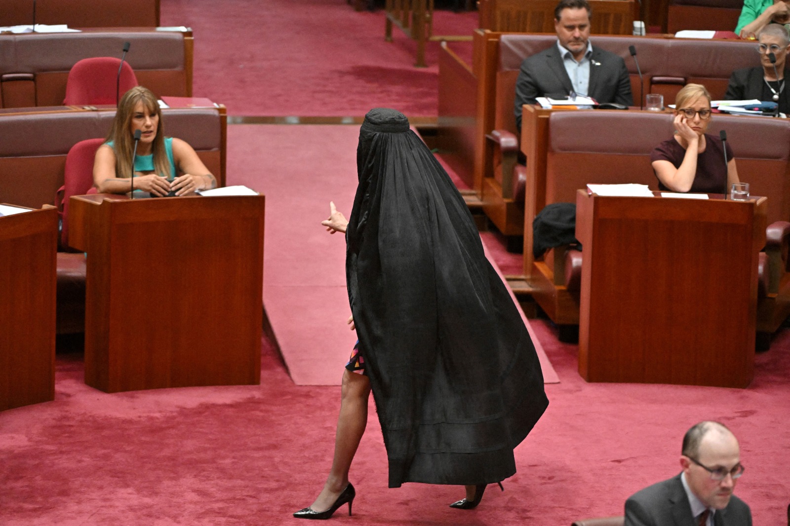 Burqa Stunt Gets Australian Senator Suspended From Parliament
