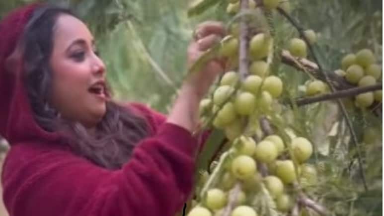 Rani Chatterjee ने दिखाई गांव की असली खूबसूरती, पेड़ से तोड़े आंवले खाने, बोलीं- शहरों में कहां ये...