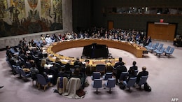 "More Pressing Than Ever": India Calls For Overhaul Of UN Security Council Working Methods