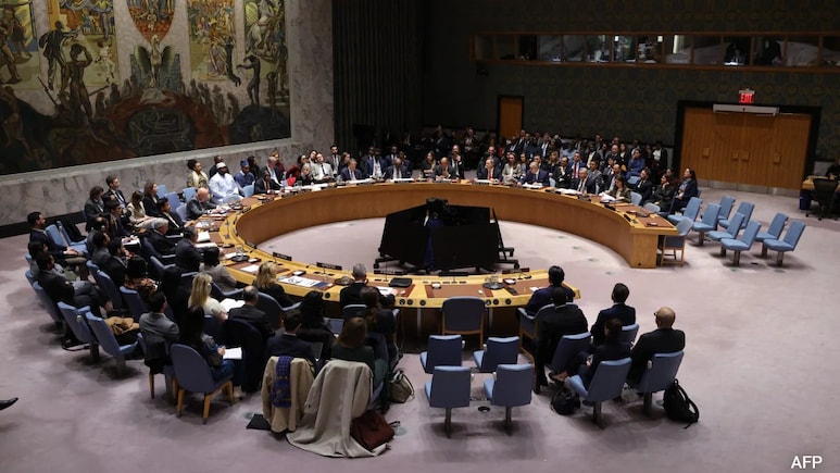 "More Pressing Than Ever": India Calls For Overhaul Of UN Security Council Working Methods