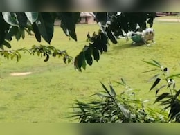 मणिपुर के चुराचांदपुर में सुरक्षा बलों के साथ मुठभेड़ में चार उग्रवादी ढेर