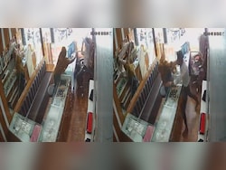 Woman Throws Chilli Powder At Jeweller In Robbery Bid, Gets Slapped 20 Times