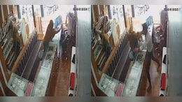 Woman Throws Chilli Powder At Jeweller In Robbery Bid, Gets Slapped 20 Times