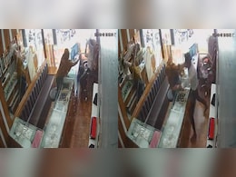 Woman Throws Chilli Powder At Jeweller In Robbery Bid, Gets Slapped 20 Times