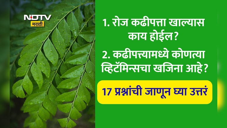 Curry Leaves Benefits: कढीपत्त्याचे पाणी किती दिवस प्यायल्यास केस लांबसडक होतील? कढीपत्ता कधी खाऊ नये? 17 FAQs