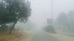 Rajasthan Winter: राजस्थान में कोहरे से थम गई जिंदगी! जयपुर- बीकानेर संभागों में बढ़ी ठिठुरन, 14 जिलों में जारी कोल्डवेव अलर्ट