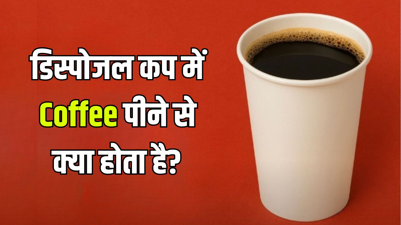 पेपर कप में क्यों नहीं पीनी चाहिए कॉफी? न्यूट्रिशनिस्ट ने बताया डिस्पोजल गिलास में Coffee पीने से क्या होता है