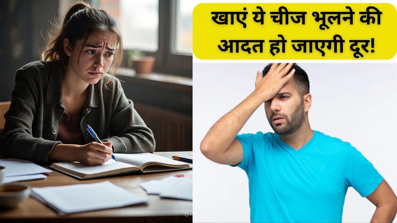 चीजें भूलने की आदत है, तो रोज सुबह खाली पेट खाएं ये मेवा, दिमाग पर नहीं डालना पड़ेगा जोर