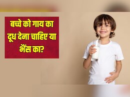 गाय या भैंस, बच्चे को किसका दूध पिलाना चाहिए? डॉक्टर से जान लें जवाब