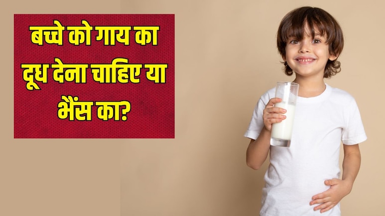 गाय या भैंस, बच्चे को किसका दूध पिलाना चाहिए? डॉक्टर से जान लें जवाब