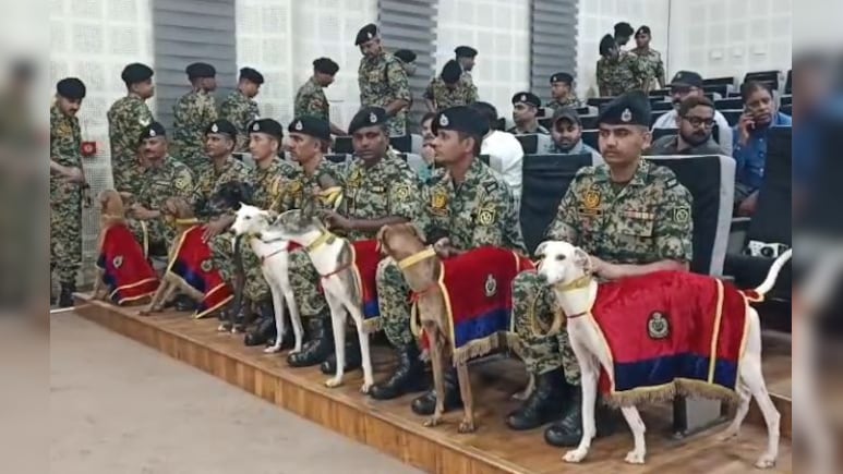 इस फीमेल डॉग ने जीता PM Modi का दिल! मन की बात में की थी तारिफ, अब BSF अकादमी ने किया सम्मान 