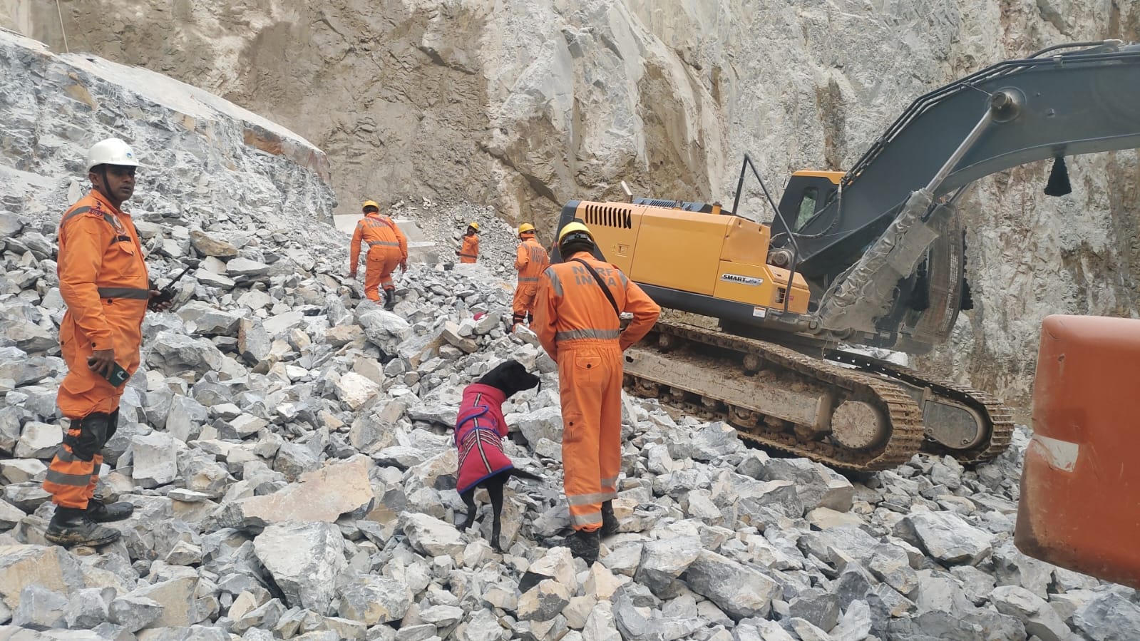 Latest and Breaking News on NDTV